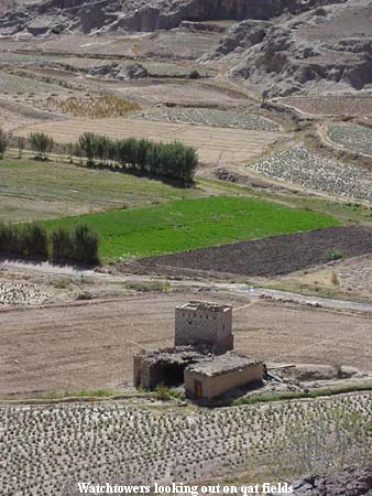 Watchtowers looking out on qat fields Watchtowers looking out on qat fields