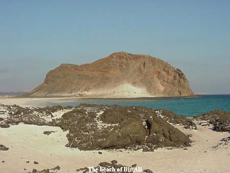 The beach of Bir Ali The beach of Bir Ali