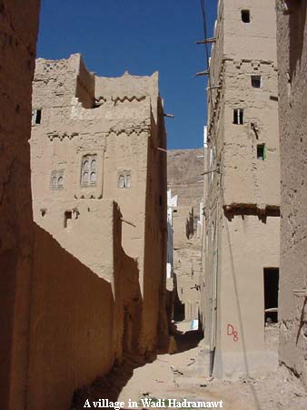 A village in Wadi Hadramawt