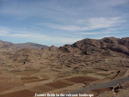 Farmer fields in the vulcanic landscape