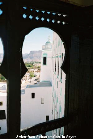 A view from Sultan's palace in Sayun