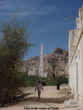 View at the centre of Tarim