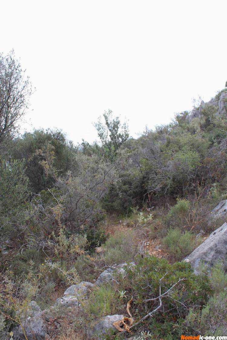 Overgrown trail to Drepano Castle near Nafplio
