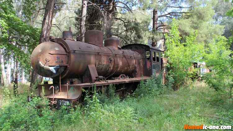 Steam train at Miloi, Myloi, Μύλοι trainstation near Nafplio, Greece