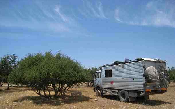 Moroccan argan oil traders