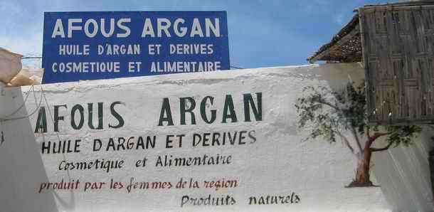 Traditional organic argan oil in Morocco.