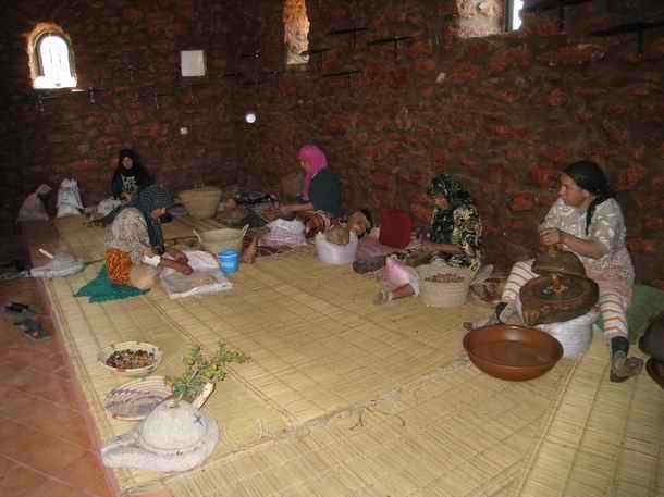 Culinary Argan Oil production line workshop in morocco