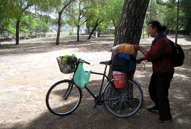 Translator in Spanish, French, German, Japanese, Chinese on a bicycle