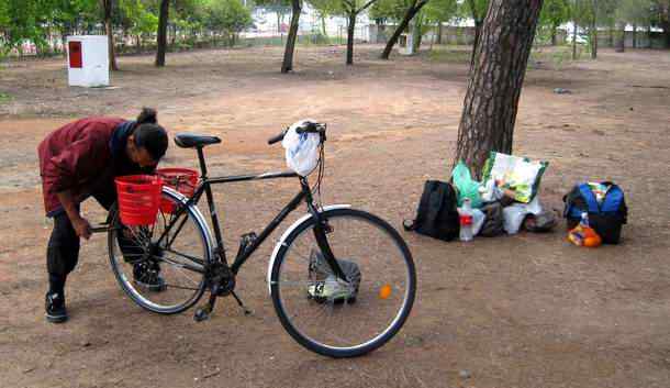 Translator in Spanish, French, German, Japanese, Chinese on a bicycle