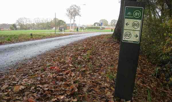 Junction 81 Schuttennijland at Dutch Cycle Network in Overijssel