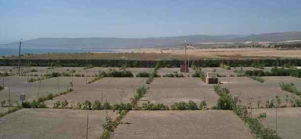 Large picthes, platze, kampeerplek at Campsite camping kampingplatz d'Imourane near Tagazout Agadir in Morocco