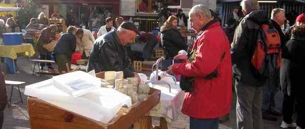 Local Cheese at Place Du Plot in Le Puy en Velay at the Saturday Market