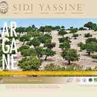 Moroccan argan oil Sidi Yassine in Essaouira