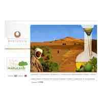 Moroccan argan oil Marogania in Agadir