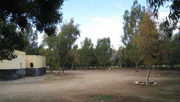 Pitches parkplatz space at Camping Campsite Kampingplatz International in Fes Morocco